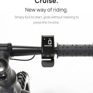 Elecorange Electric Bike