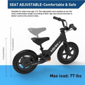 Hiboy Electric Bike