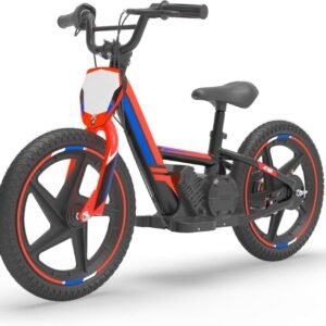 OLALA Electric Dirt Bike