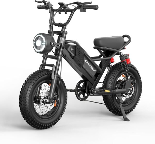 Spacewalk Electric Bike