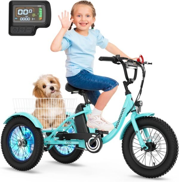 NAIZEA Electric Kids Bike