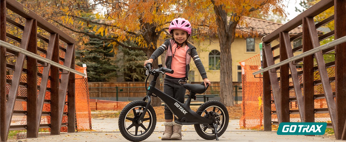 Gotrax Electric Bike