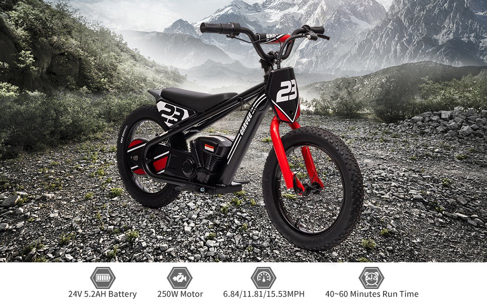 PALBYS Electric Bike