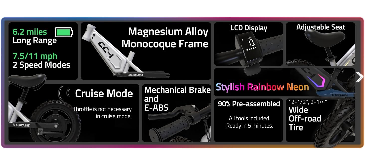 Elecorange Electric Bike