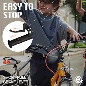 RoyalBaby Bike Review