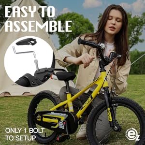 RoyalBaby Bike Review