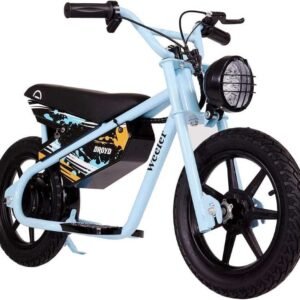 Droyd Weeler Electric Mini Bike for Ages 6