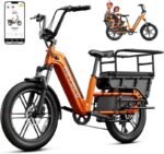 HOVSCO Family Electric Bike