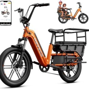 HOVSCO Family Electric Bike
