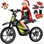 eAhora S4 Young Electric Dirt Bike 4