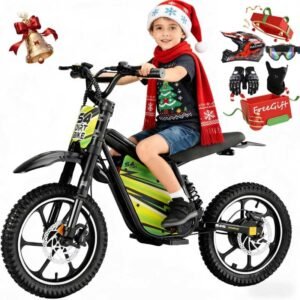 eAhora S4 Young Electric Dirt Bike 4